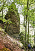 Albsteig im Hotzenwald Albsteig im Hotzenwald