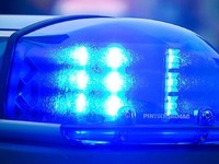 Entflohener Mastbulle bei Autobahn erlegt Entflohener Mastbulle bei Autobahn erlegt