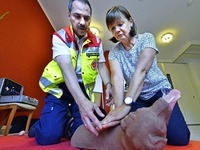 Was Hundehalter in Erste-Hilfe-Kursen lernen Was Hundehalter in Erste-Hilfe-Kursen lernen
