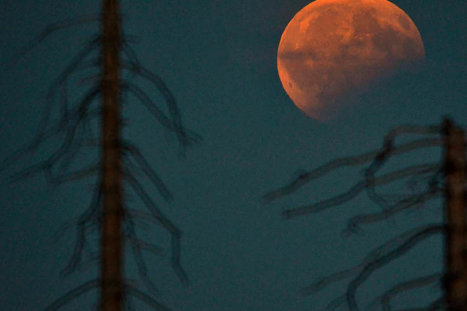 Blick auf die partielle Mondfinsternis vom Plöckenstein an der österreichisch-tschechischen Grenze. (Foto: dpa) Blick auf die partielle Mondfinsternis vom Plöckenstein an der österreichisch-tschechischen Grenze. (Foto: dpa)