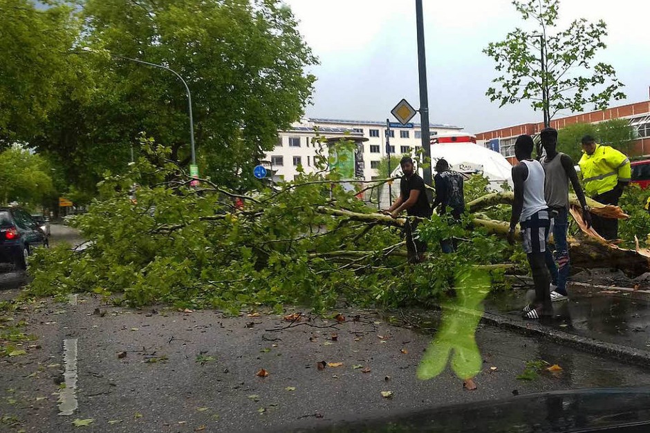 Unwetter in Freiburg: Ein großer Ast liegt auf der Lörracher Straße in Haslach. (Foto: Manuela Fräßle) Unwetter in Freiburg: Ein großer Ast liegt auf der Lörracher Straße in Haslach. (Foto: Manuela Fräßle)