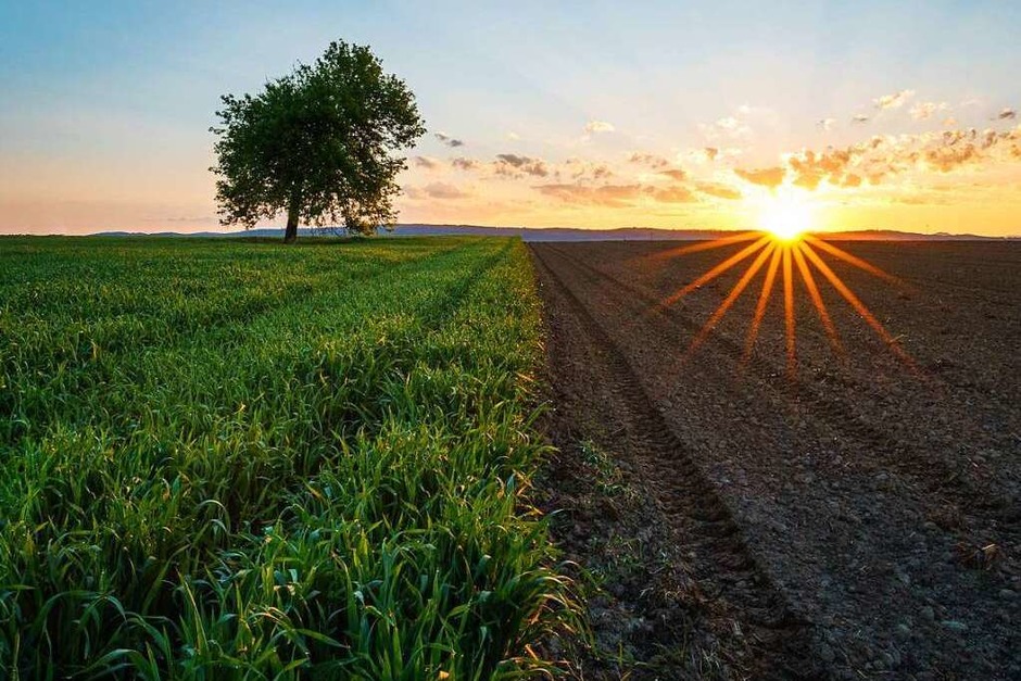 Chasing the sun (Teningen) (Foto: David Konstanzer) Chasing the sun (Teningen) (Foto: David Konstanzer)