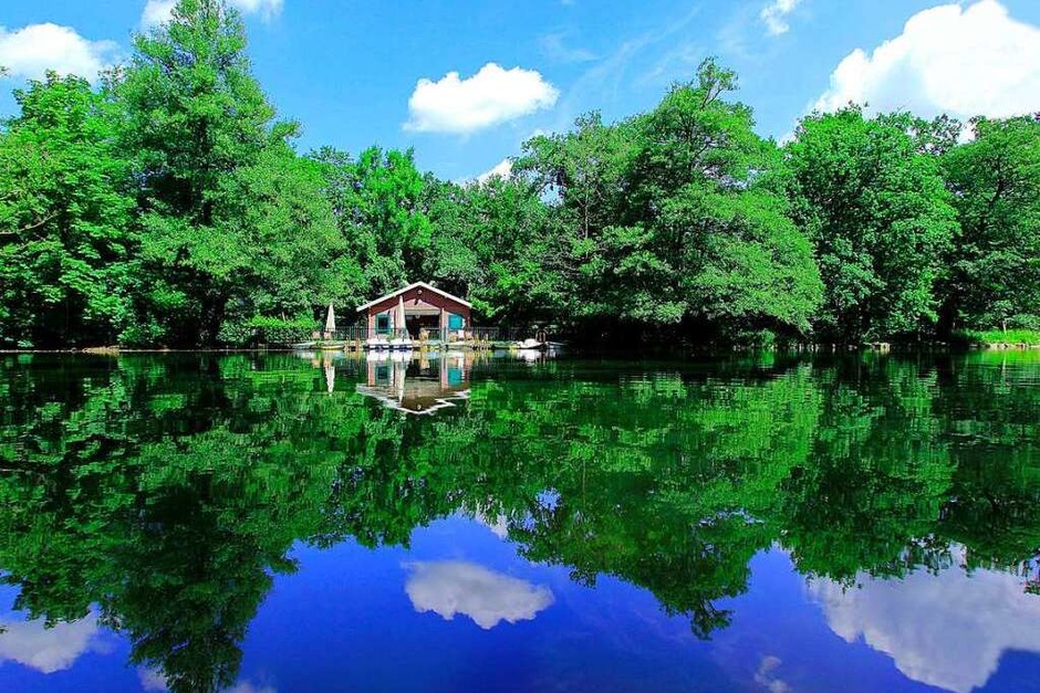 Waldseeidylle im Sommer (Waldsee) (Foto: Patrick Lohmüller) Waldseeidylle im Sommer (Waldsee) (Foto: Patrick Lohmüller)
