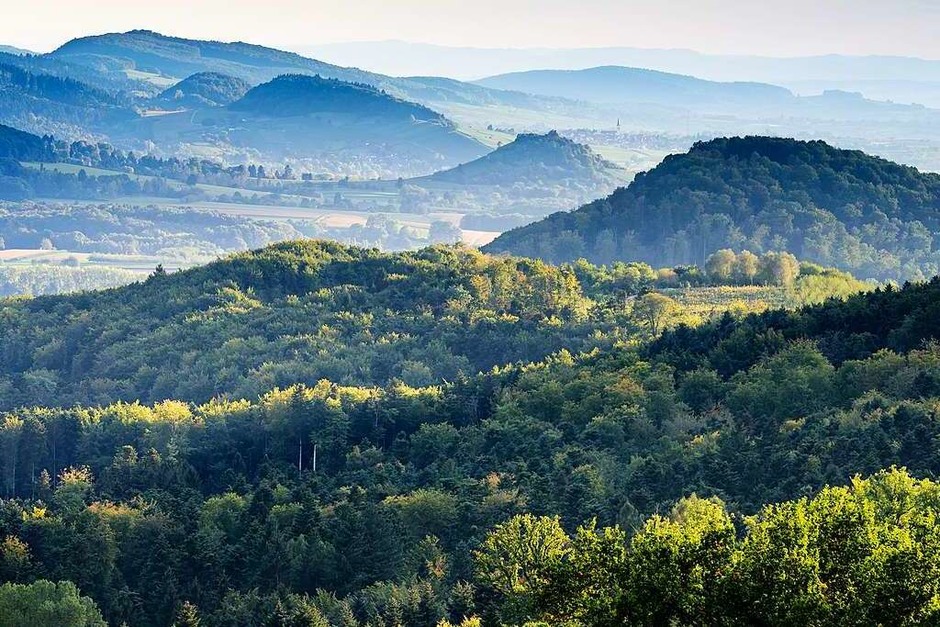 Blick vom Schönberg (Schönberg) (Foto: Hans Peter Dieringer) Blick vom Schönberg (Schönberg) (Foto: Hans Peter Dieringer)