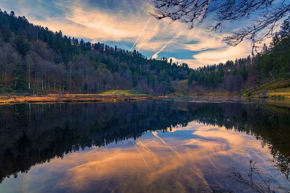 Nonnenmattweiher (Nonnenmattweiher) (Foto: Enrico Merazzi) Nonnenmattweiher (Nonnenmattweiher) (Foto: Enrico Merazzi)