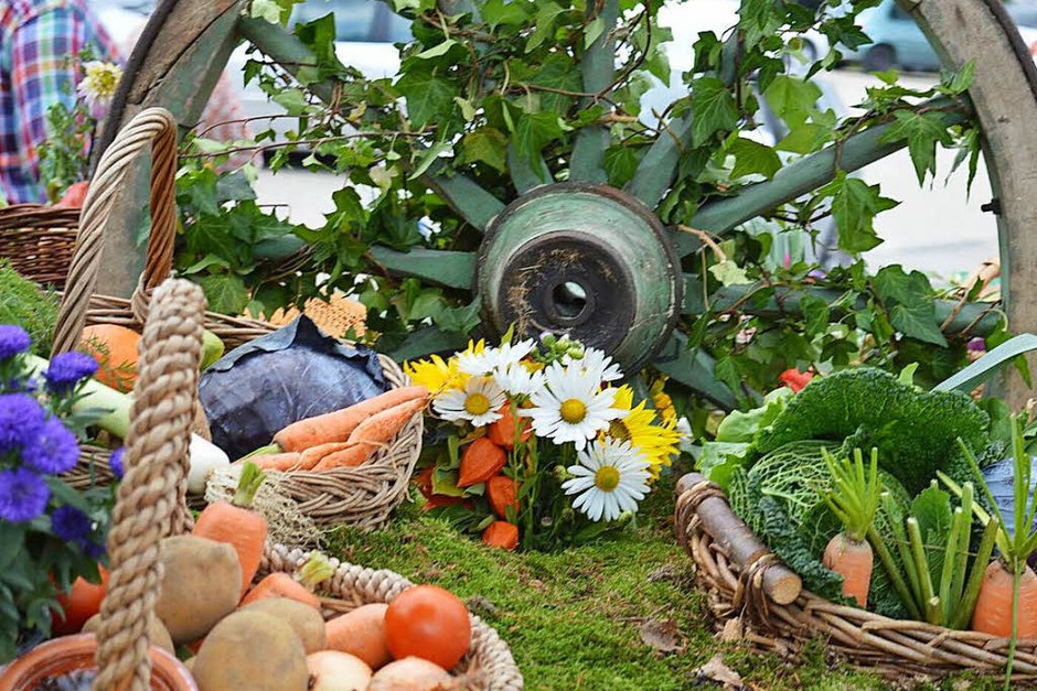 Farbenprächtig war der traditionelle Umzug zum Erntedank am Sonntag in Görwihl. Farbenprächtig war der traditionelle Umzug zum Erntedank am Sonntag in Görwihl.