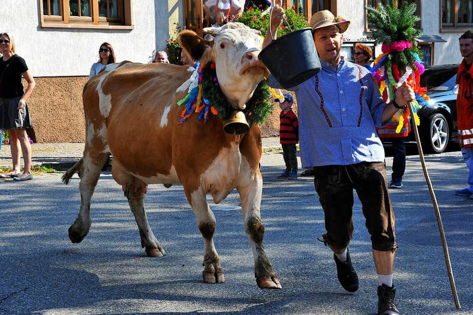 Immer dem Futter hinterher... (Foto: Horst Dauenhauer) Immer dem Futter hinterher... (Foto: Horst Dauenhauer)