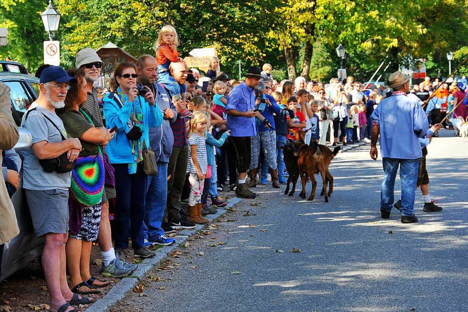 Ein buntes Bild bot sich den vielen Zuschauern beim Almabtrieb am Sonntagvormittag. (Foto: Horst Dauenhauer) Ein buntes Bild bot sich den vielen Zuschauern beim Almabtrieb am Sonntagvormittag. (Foto: Horst Dauenhauer)