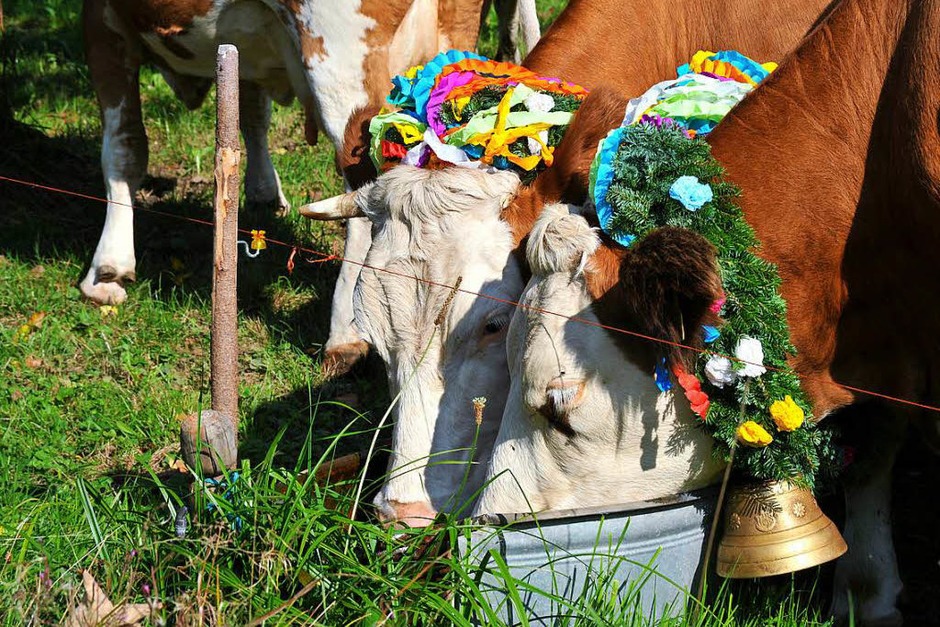 Ein buntes Bild bot sich den vielen Zuschauern beim Almabtrieb am Sonntagvormittag. (Foto: Horst Dauenhauer) Ein buntes Bild bot sich den vielen Zuschauern beim Almabtrieb am Sonntagvormittag. (Foto: Horst Dauenhauer)