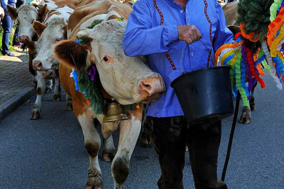 Ein buntes Bild bot sich den vielen Zuschauern beim Almabtrieb am Sonntagvormittag. (Foto: Horst Dauenhauer) Ein buntes Bild bot sich den vielen Zuschauern beim Almabtrieb am Sonntagvormittag. (Foto: Horst Dauenhauer)