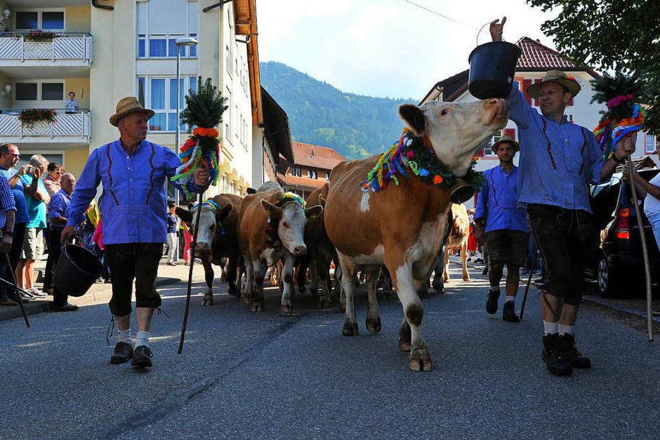 Ein buntes Bild bot sich den vielen Zuschauern beim Almabtrieb am Sonntagvormittag. (Foto: Horst Dauenhauer) Ein buntes Bild bot sich den vielen Zuschauern beim Almabtrieb am Sonntagvormittag. (Foto: Horst Dauenhauer)