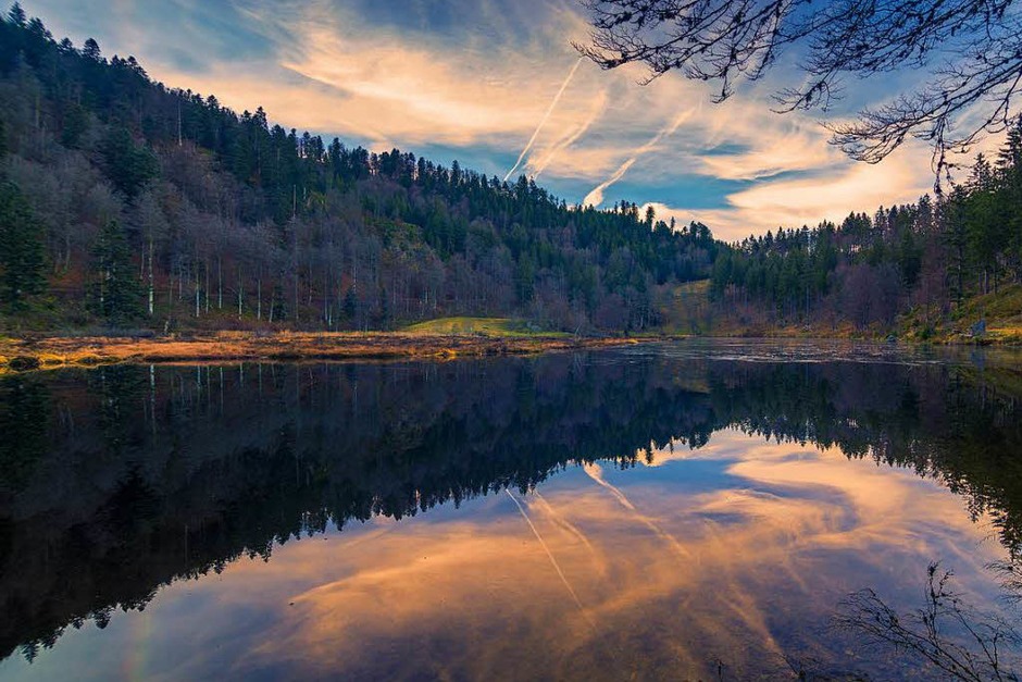 Kategorie Land: Nonnenmattweiher (Foto: Enrico Merazzi) Kategorie Land: Nonnenmattweiher (Foto: Enrico Merazzi)