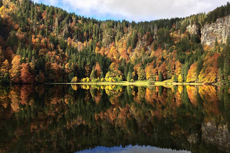 Der Feldsee (Foto: Oswald Ganter) Der Feldsee (Foto: Oswald Ganter)