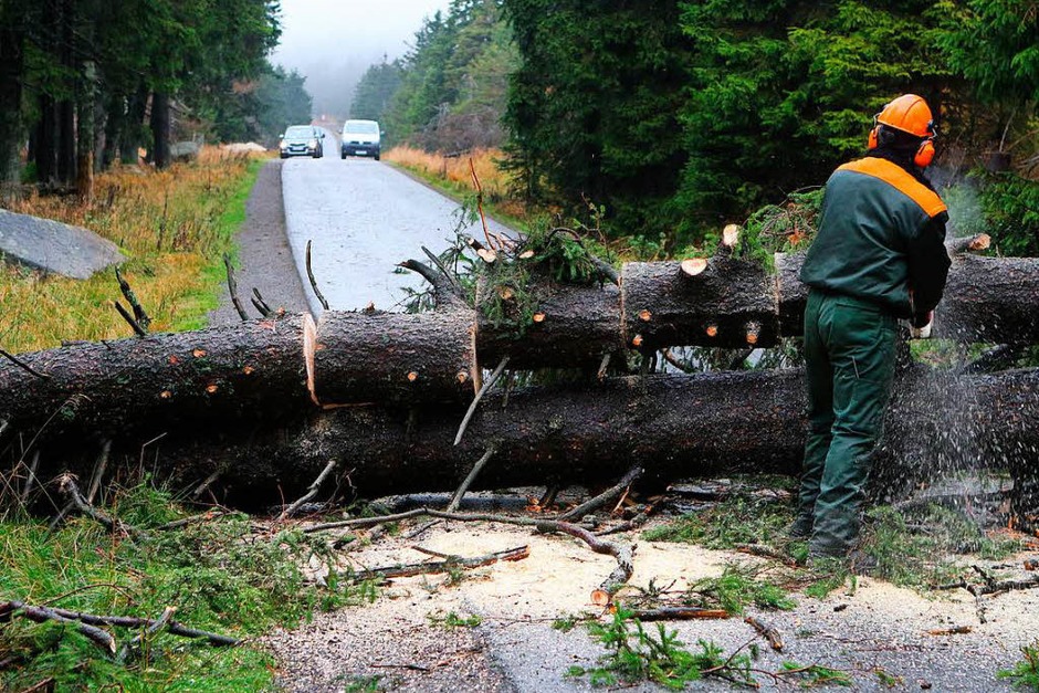In Sachsen-Anhalt liegen Bäume wie Schlagbäume auf den Straßen. (Foto: dpa) In Sachsen-Anhalt liegen Bäume wie Schlagbäume auf den Straßen. (Foto: dpa)