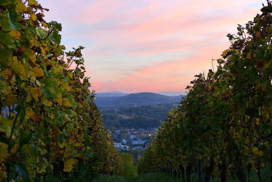 Lahr und die Rheinebene im Lichtschein des Abends (Foto: Hansjörg Vögele) Lahr und die Rheinebene im Lichtschein des Abends (Foto: Hansjörg Vögele)