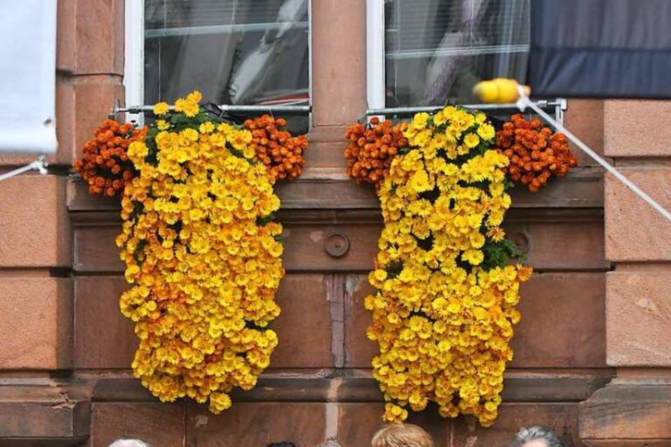 Impressionen vom Eröffnungswochenende der Chrysanthema 2017 (Foto: Wolfgang Künstle) Impressionen vom Eröffnungswochenende der Chrysanthema 2017 (Foto: Wolfgang Künstle)