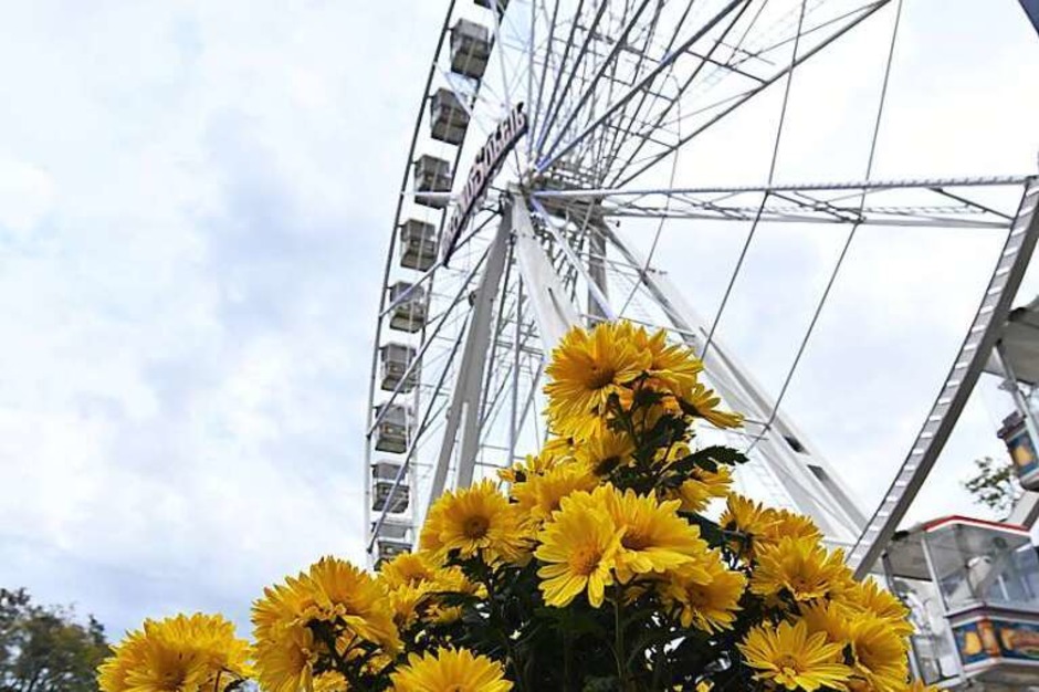Impressionen vom Eröffnungswochenende der Chrysanthema 2017 (Foto: Wolfgang Künstle) Impressionen vom Eröffnungswochenende der Chrysanthema 2017 (Foto: Wolfgang Künstle)