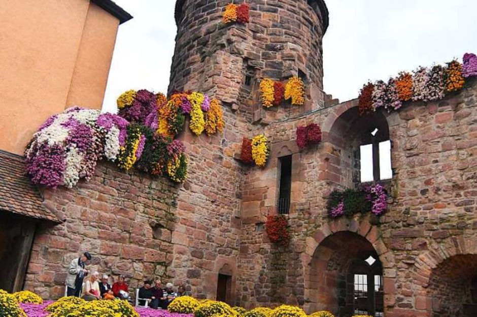 Impressionen vom Eröffnungswochenende der Chrysanthema 2017 (Foto: Wolfgang Künstle) Impressionen vom Eröffnungswochenende der Chrysanthema 2017 (Foto: Wolfgang Künstle)