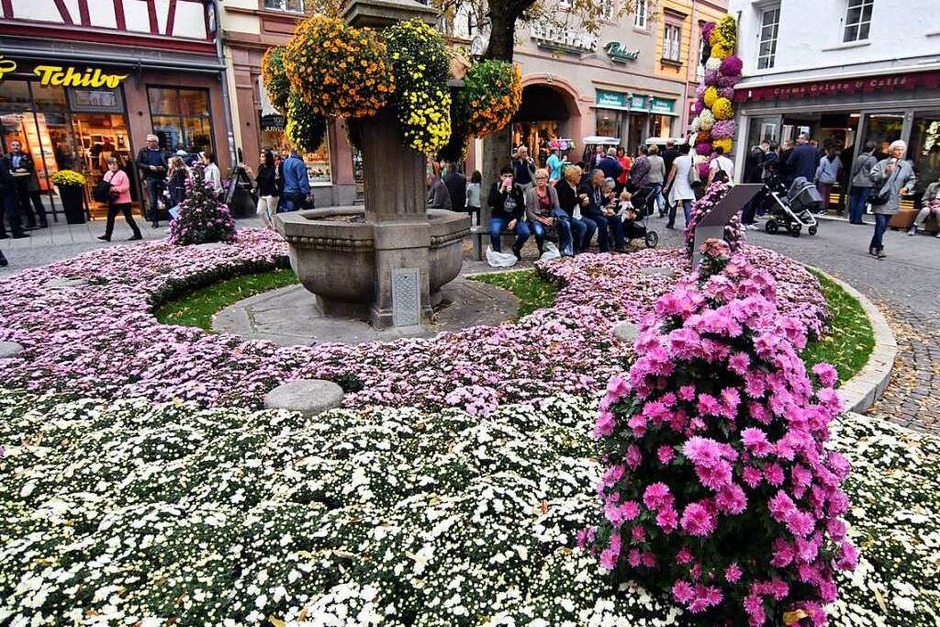 Impressionen vom Eröffnungswochenende der Chrysanthema 2017 (Foto: Wolfgang Künstle) Impressionen vom Eröffnungswochenende der Chrysanthema 2017 (Foto: Wolfgang Künstle)