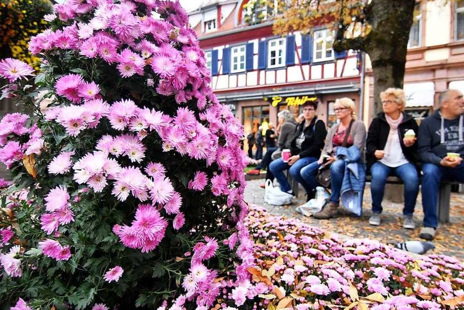 Impressionen vom Eröffnungswochenende der Chrysanthema 2017 (Foto: Wolfgang Künstle) Impressionen vom Eröffnungswochenende der Chrysanthema 2017 (Foto: Wolfgang Künstle)