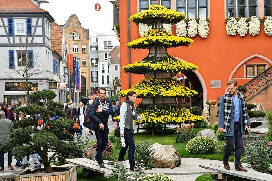 Impressionen vom Eröffnungswochenende der Chrysanthema 2017 (Foto: Wolfgang Künstle) Impressionen vom Eröffnungswochenende der Chrysanthema 2017 (Foto: Wolfgang Künstle)