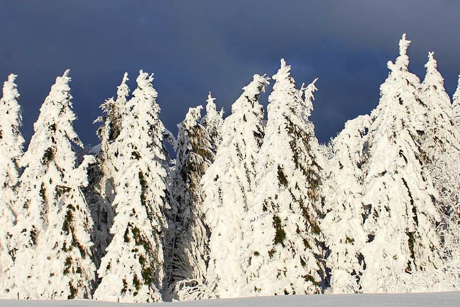 Diese magische Winterlandschaft bot sich kürzlich auf dem Schauinsland in Oberried. (Foto: Ursel Lorenz) Diese magische Winterlandschaft bot sich kürzlich auf dem Schauinsland in Oberried. (Foto: Ursel Lorenz)