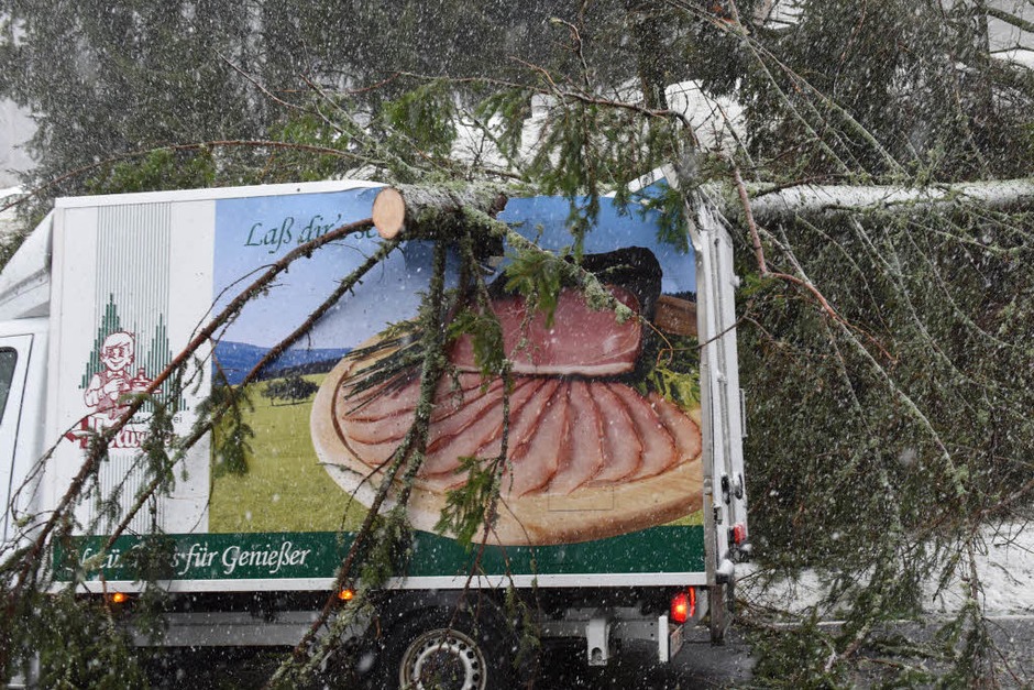 Auf der B500 am Feldberg landete ein Baum auf einem Metzgerei-Lkw. (Foto: dpa) Auf der B500 am Feldberg landete ein Baum auf einem Metzgerei-Lkw. (Foto: dpa)