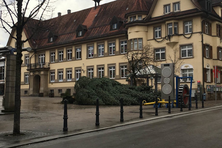 Die große Weihnachtstanne auf dem Talschulplatz in Wehr fiel beim Sturm. (Foto: Simon David) Die große Weihnachtstanne auf dem Talschulplatz in Wehr fiel beim Sturm. (Foto: Simon David)