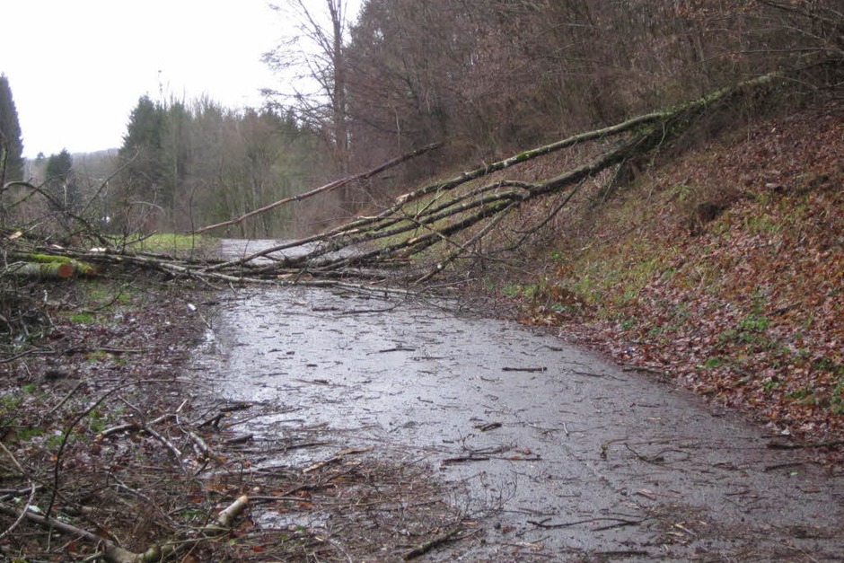 Schwörstadt. Straßen Richtung Dossenbach und Schopfheim sind wegen Baumbruch gesperrt. Die Ortsdurchfahrt B34 ist halbseitig gesperrt wegen heruntergewehten Ziegeln und Dachrinnen. (Foto: Helmut Kohler) Schwörstadt. Straßen Richtung Dossenbach und Schopfheim sind wegen Baumbruch gesperrt. Die Ortsdurchfahrt B34 ist halbseitig gesperrt wegen heruntergewehten Ziegeln und Dachrinnen. (Foto: Helmut Kohler)