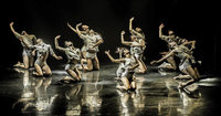 Kibuzz Contemporary Company in der Oberrheinhalle Offenburg Kibuzz Contemporary Company in der Oberrheinhalle Offenburg