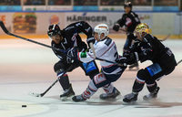 An diesen 6 Stellen hapert es beim EHC Freiburg An diesen 6 Stellen hapert es beim EHC Freiburg