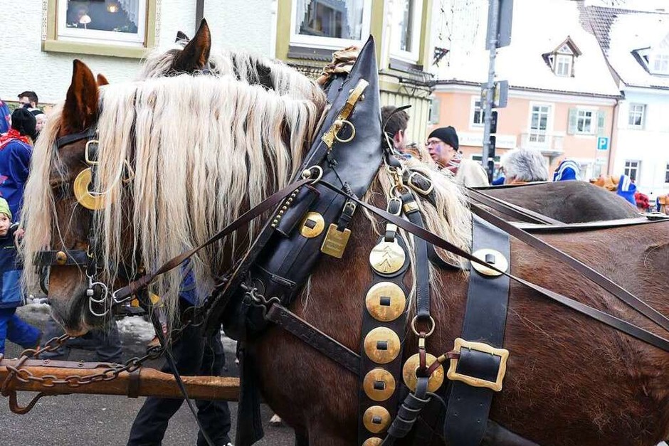 Fasnetumzug am Schmutzige Dunschdig in Bonndorf. (Foto: Juliane Kühnemund) Fasnetumzug am Schmutzige Dunschdig in Bonndorf. (Foto: Juliane Kühnemund)