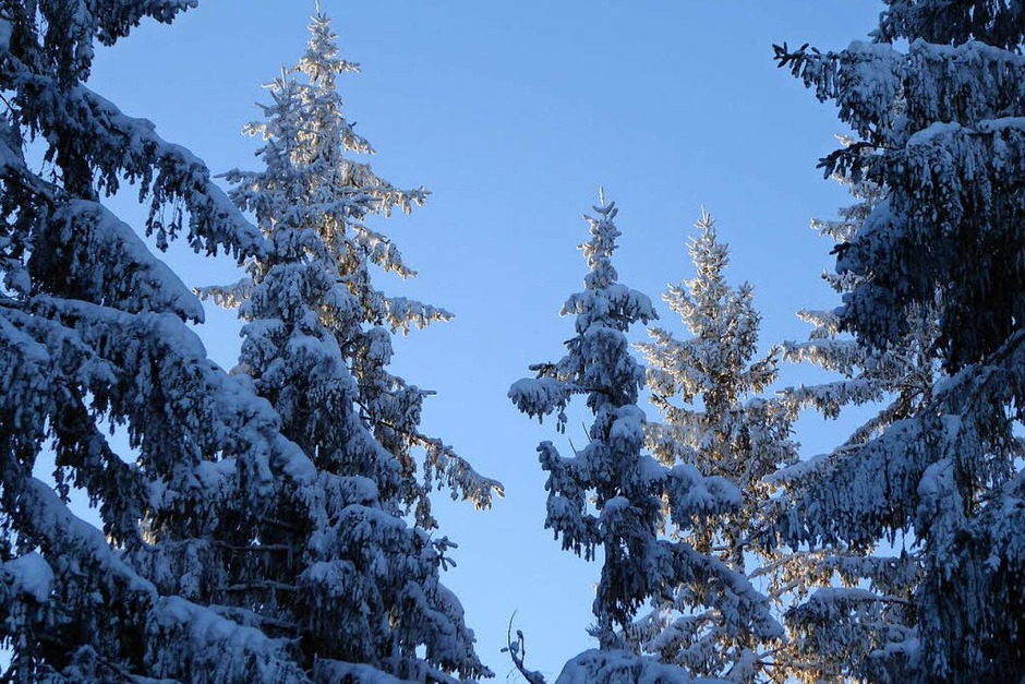 Klirrende Kälte, blauer Himmel und Sonnenschein: So zeigt sich der Hochschwarzwald zum Ende der närrischen Tage. (Foto: Peter Stellmach) Klirrende Kälte, blauer Himmel und Sonnenschein: So zeigt sich der Hochschwarzwald zum Ende der närrischen Tage. (Foto: Peter Stellmach)