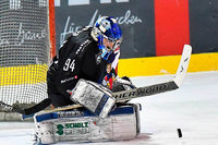 EHC Freiburg verliert gegen Crimmitschau und steht in den Playdowns EHC Freiburg verliert gegen Crimmitschau und steht in den Playdowns