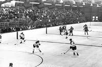 Wie in Lahr der Traum vom Eishockey platzte Wie in Lahr der Traum vom Eishockey platzte