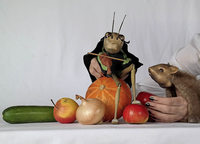 Kultur - Badische Zeitung