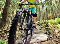Nägel und Schnur auf Mountainbike-Strecke angebracht – wo hauptsächlich Kinder unterwegs sind Nägel und Schnur auf Mountainbike-Strecke angebracht – wo hauptsächlich Kinder unterwegs sind