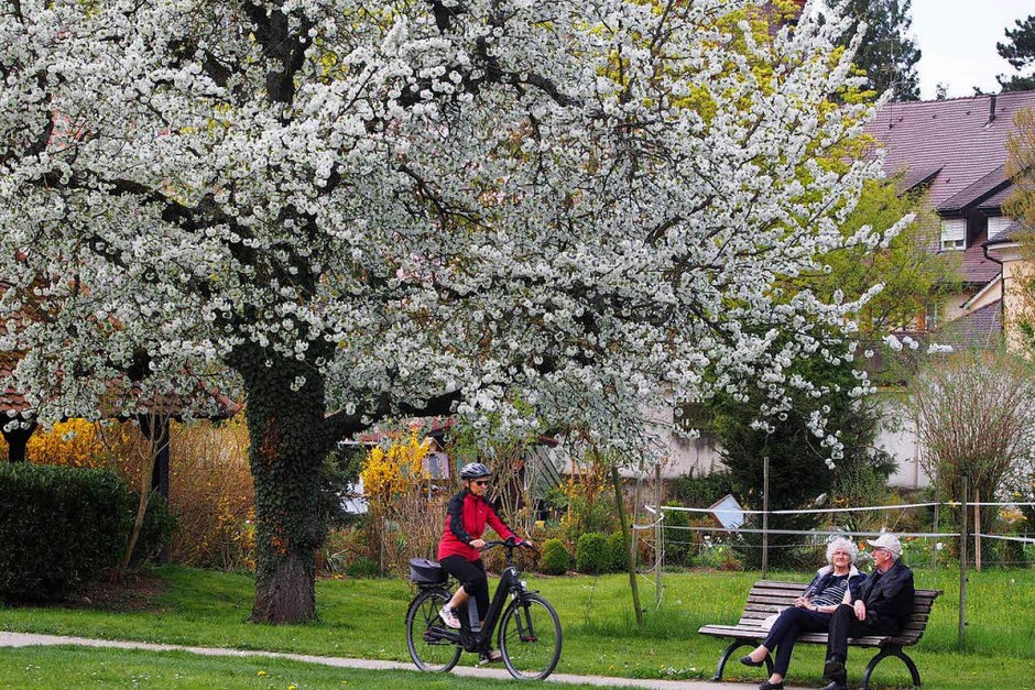 Auch Radfahrer passieren den Park gerne. (Foto: Markus Donner) Auch Radfahrer passieren den Park gerne. (Foto: Markus Donner)