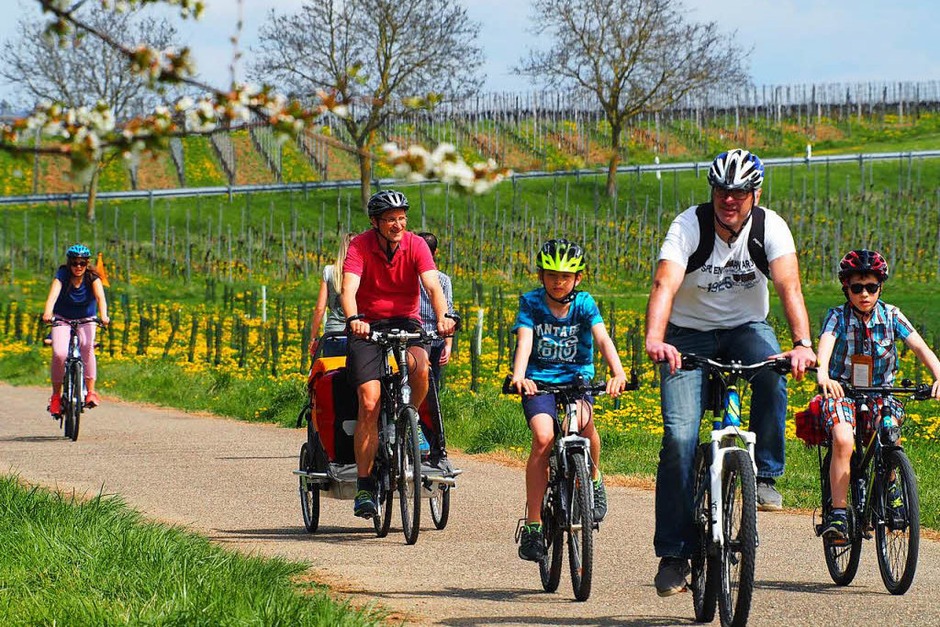 Er durch die Reben, dann mitten durch den Schlosspark – Heitersheim ist auch ein Eldorado für Radfahrer. (Foto: Markus Donner) Er durch die Reben, dann mitten durch den Schlosspark – Heitersheim ist auch ein Eldorado für Radfahrer. (Foto: Markus Donner)