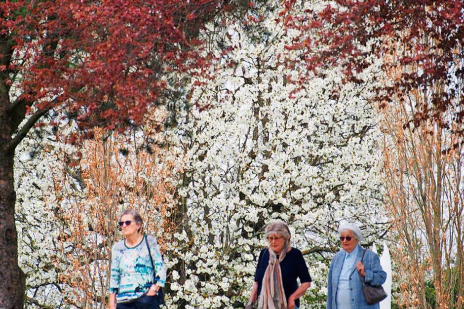Schöne Aussichten im Schlosspark (Foto: Markus Donner) Schöne Aussichten im Schlosspark (Foto: Markus Donner)