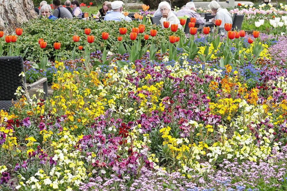 Der Frühling hält endlich Einzug und allerorten sprießt und gedeiht es. Bad Krozingen und sein Kurpark stehen da nicht nach und laden mit blühender Pracht an vielen Stellen der Kurstadt ein. (Foto: Hans-Peter Müller) Der Frühling hält endlich Einzug und allerorten sprießt und gedeiht es. Bad Krozingen und sein Kurpark stehen da nicht nach und laden mit blühender Pracht an vielen Stellen der Kurstadt ein. (Foto: Hans-Peter Müller)