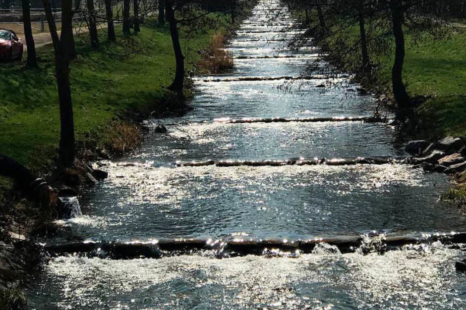 Der Frühling hält endlich Einzug und allerorten sprießt und gedeiht es. Bad Krozingen und sein Kurpark stehen da nicht nach und laden mit blühender Pracht an vielen Stellen der Kurstadt ein. (Foto: Hans-Peter Müller) Der Frühling hält endlich Einzug und allerorten sprießt und gedeiht es. Bad Krozingen und sein Kurpark stehen da nicht nach und laden mit blühender Pracht an vielen Stellen der Kurstadt ein. (Foto: Hans-Peter Müller)
