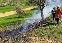 Flächenbrand in Kippenheim Flächenbrand in Kippenheim