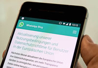 Ohne jeden Sinn für pädagogische Fragestellungen Ohne jeden Sinn für pädagogische Fragestellungen