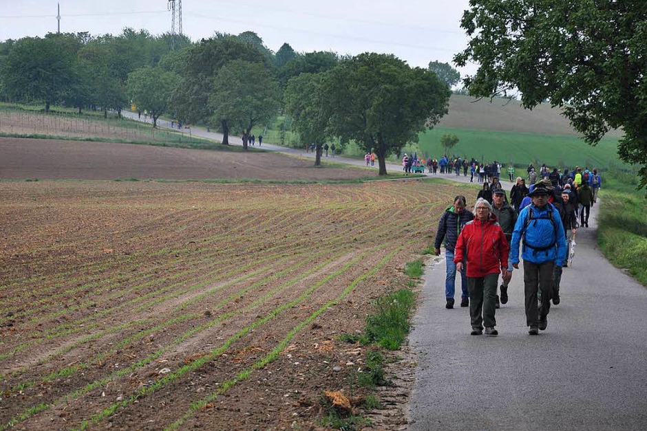 Eine traumhafte Landschaft, feine Weine und viele fröhliche Gesichter – die Markenzeichen des Gutedelwandertages. (Foto: Jutta Schütz) Eine traumhafte Landschaft, feine Weine und viele fröhliche Gesichter – die Markenzeichen des Gutedelwandertages. (Foto: Jutta Schütz)