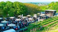 Wie war’s bei … der Premiere der Weinkult Breisgau in Ettenheim? Wie war’s bei … der Premiere der Weinkult Breisgau in Ettenheim?