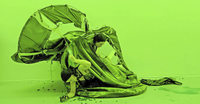 Starke Nachbilder Starke Nachbilder
