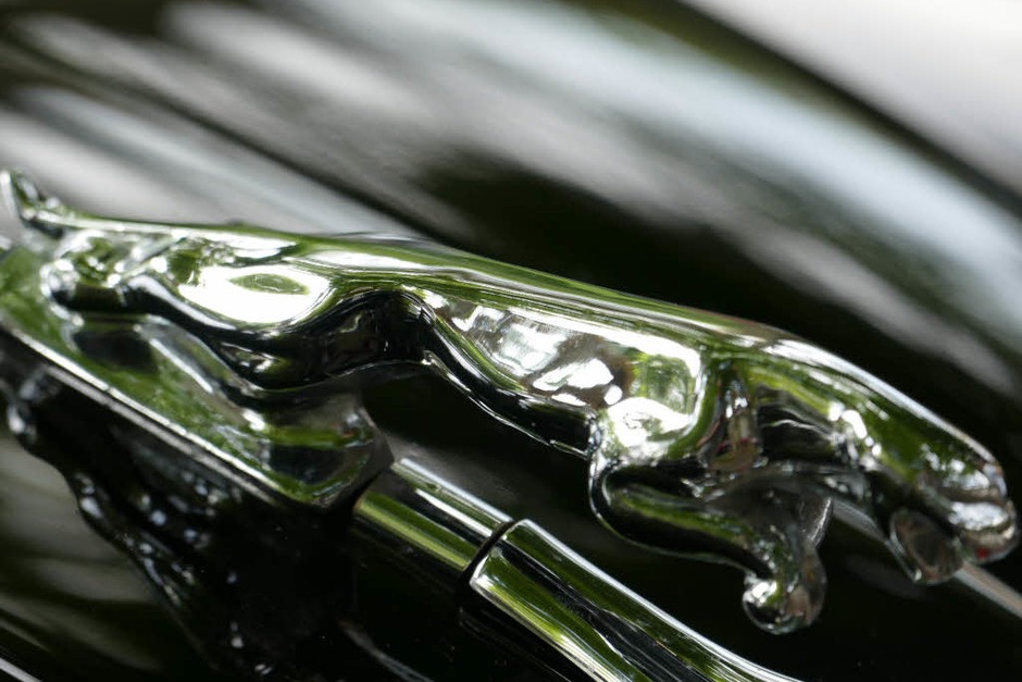 Kühlerfigur Jaguar (Foto: Hans-Peter Müller) Kühlerfigur Jaguar (Foto: Hans-Peter Müller)