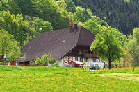 Kostenlose BZ-Wanderung durch das Prechtal und Elztal Kostenlose BZ-Wanderung durch das Prechtal und Elztal
