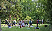 Der internationale Yoga-Tag in Freiburg Der internationale Yoga-Tag in Freiburg